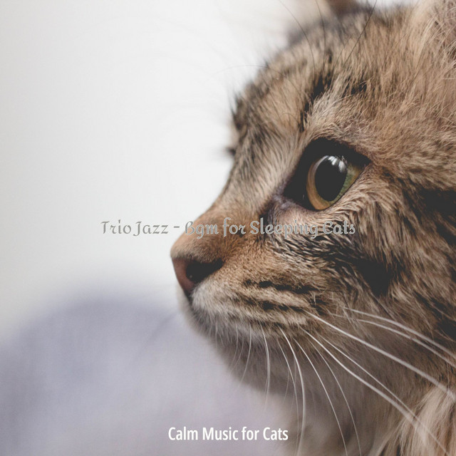 Trio Jazz - Bgm for Sleeping Cats - Album by Calm Music for Cats | Spotify