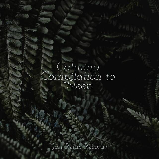 Calming Compilation to Sleep - Album by Alpha Waves | Spotify
