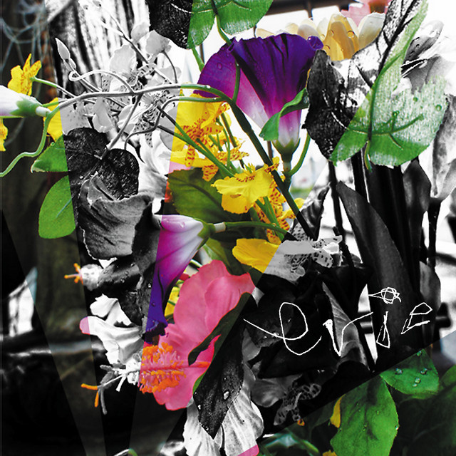 erie cover art