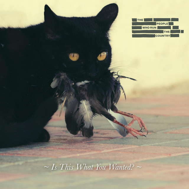 Is This What You Wanted? cover art