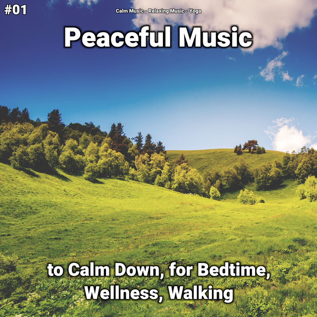 #01 Peaceful Music to Calm Down, for Bedtime, Wellness, Walking cover art