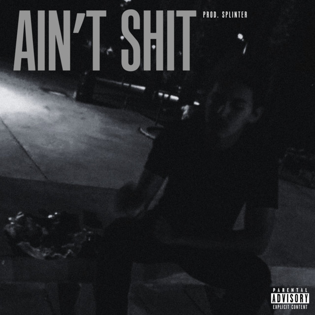 Ain't Shit cover art