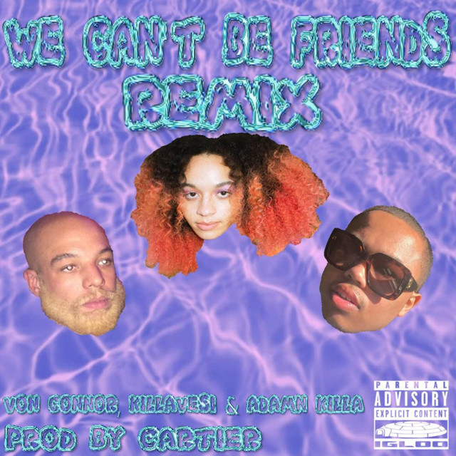 We Can't Be Friends (Remix)
