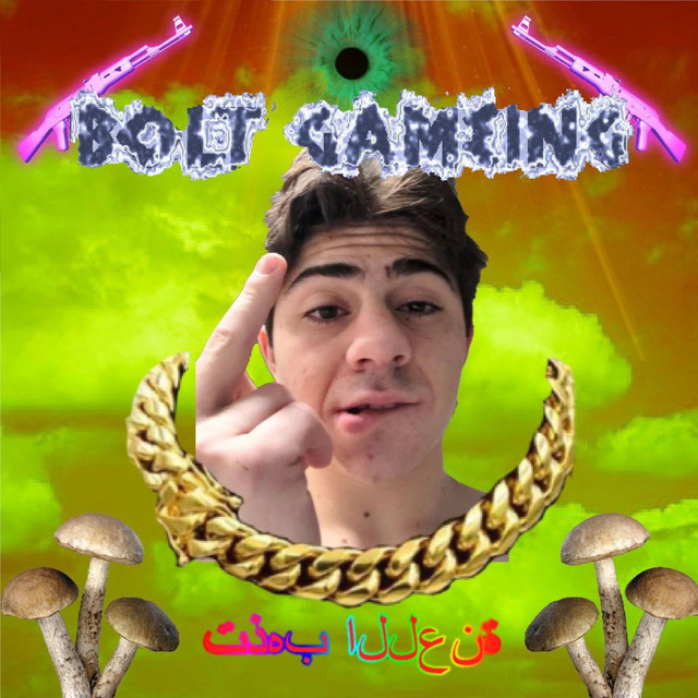 BOLT GAMEING cover art