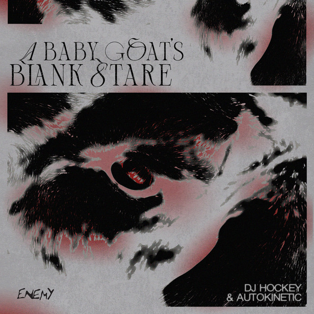 DJ Hockey