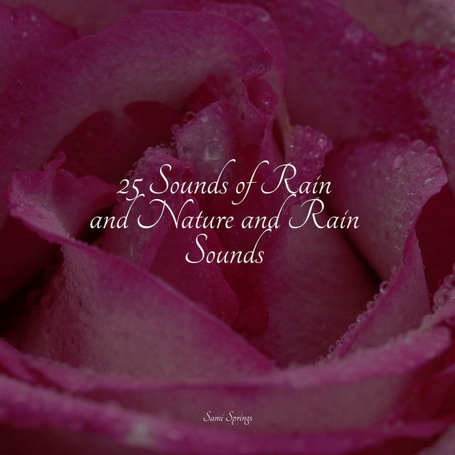 25 Sounds of Rain and Nature and Rain Sounds cover art