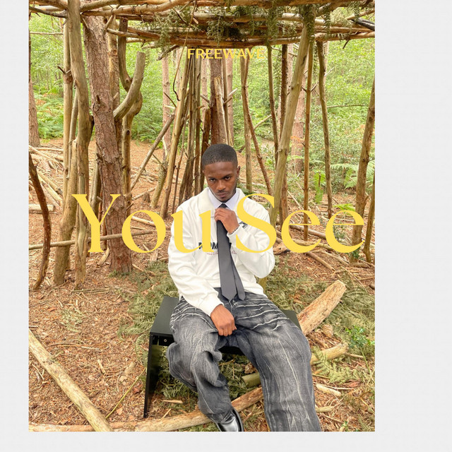 You See cover