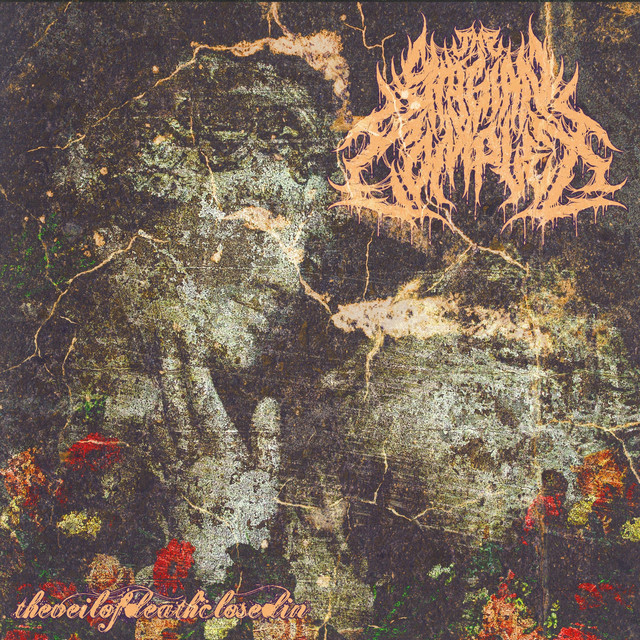 The Veil of Death Closed In cover art