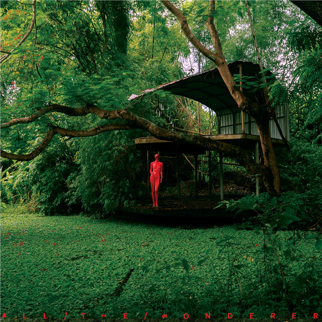 ALL THE WONDERER cover art