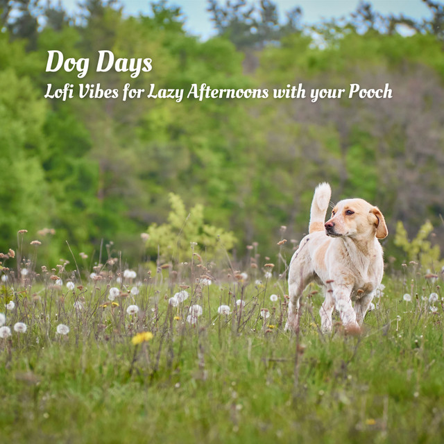 Dog Days: Lofi Vibes for Lazy Afternoons with your Pooch cover art