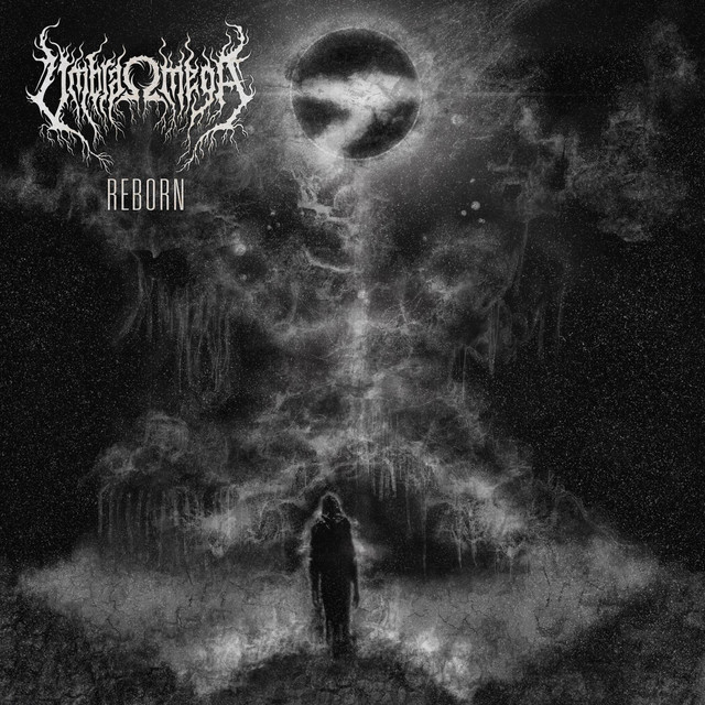 Reborn cover art