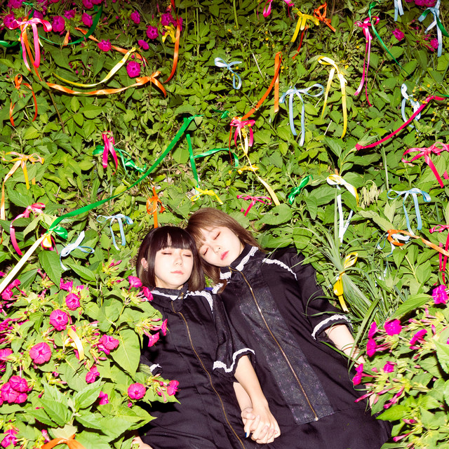 down cover