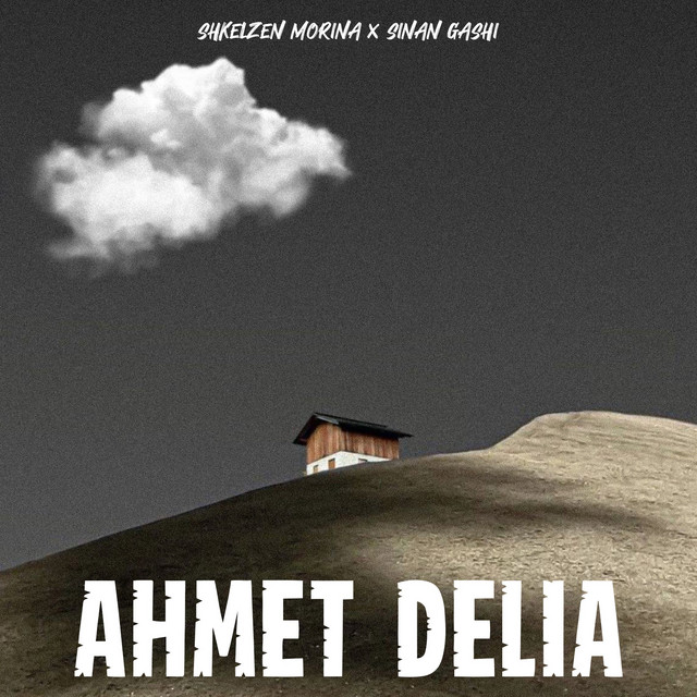 Ahmet Delia