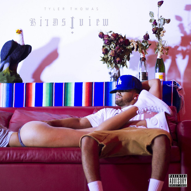 Birds I View cover art