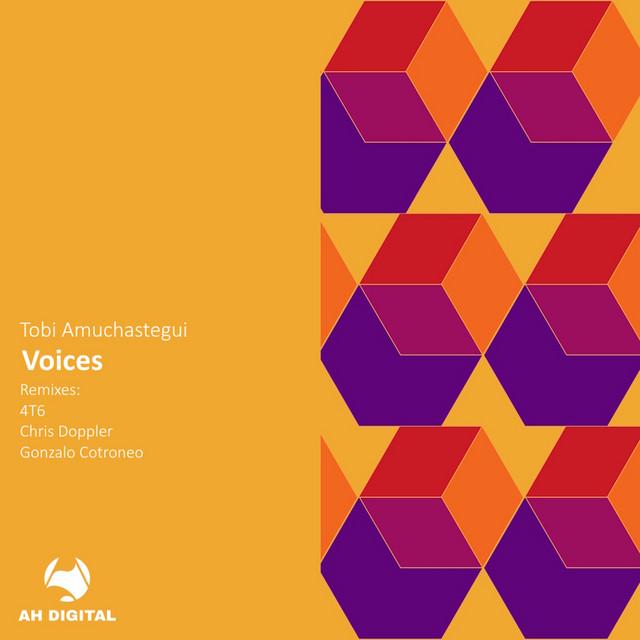 Voices (Chris Doppler Remix)