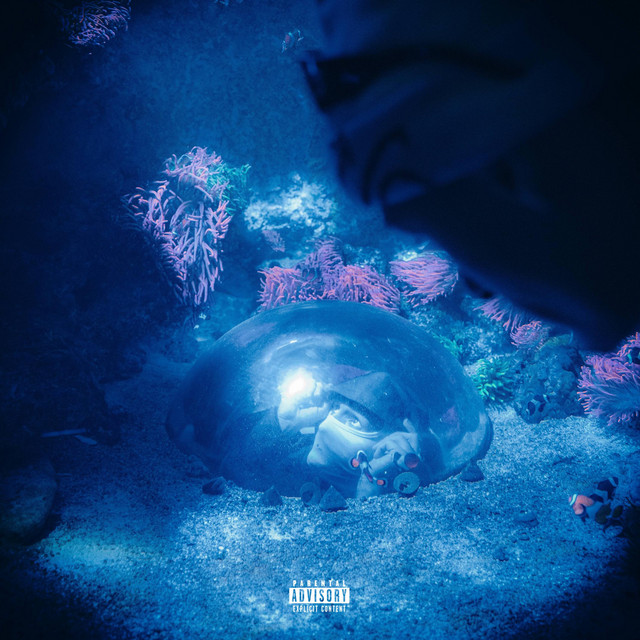 Sonar cover art