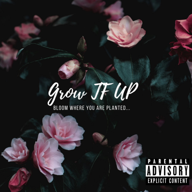 Grow Tf Up cover art
