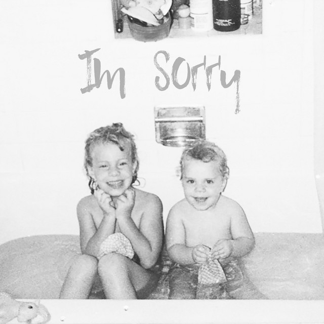 I'm Sorry cover