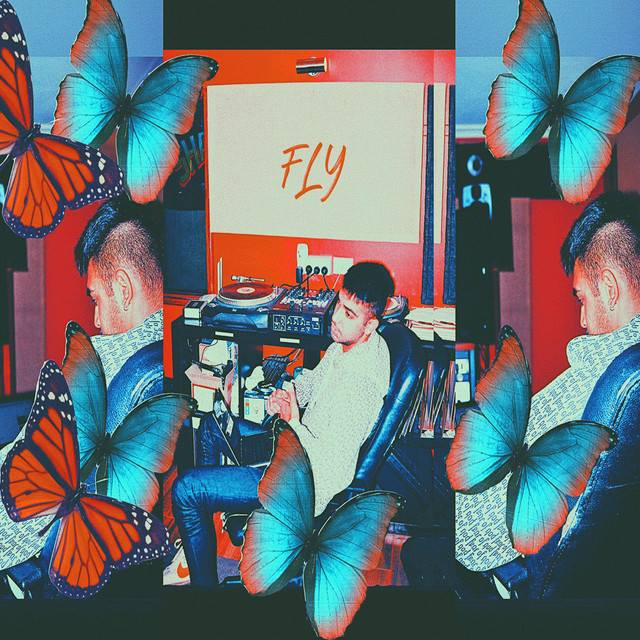 FLY cover art