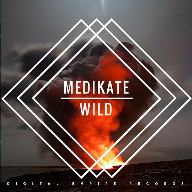 Wild album art