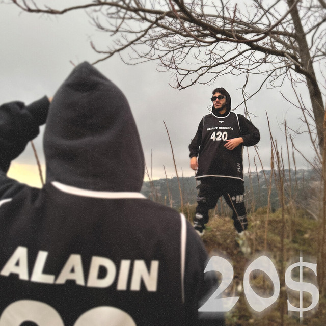 20$ cover art