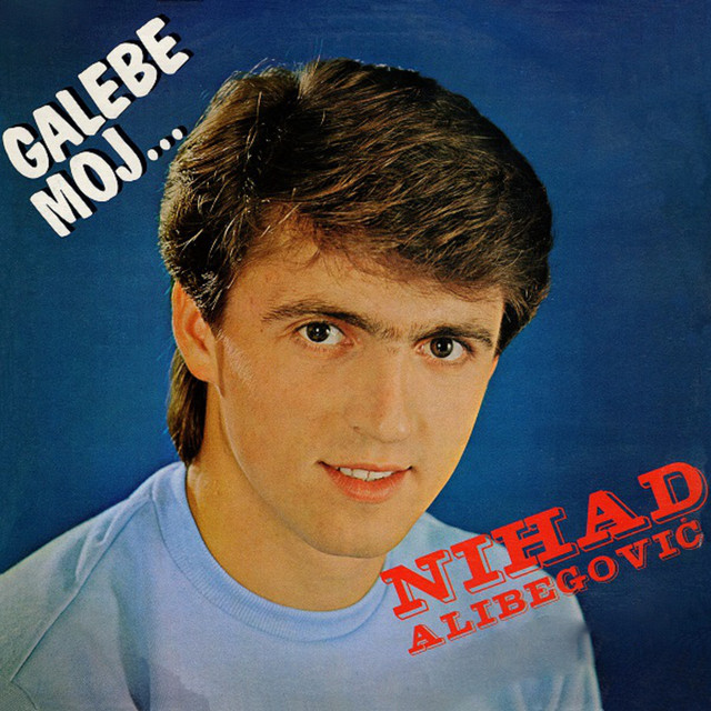 Galebe moj cover art