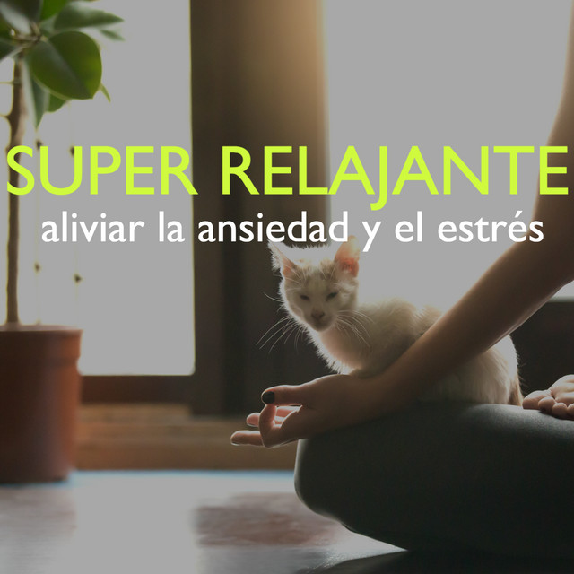 Super Relajante - Aliviar la Ansiedad y Sanar el Cuerpo, Objetivo Bienestar para Armonizar el Alma cover art