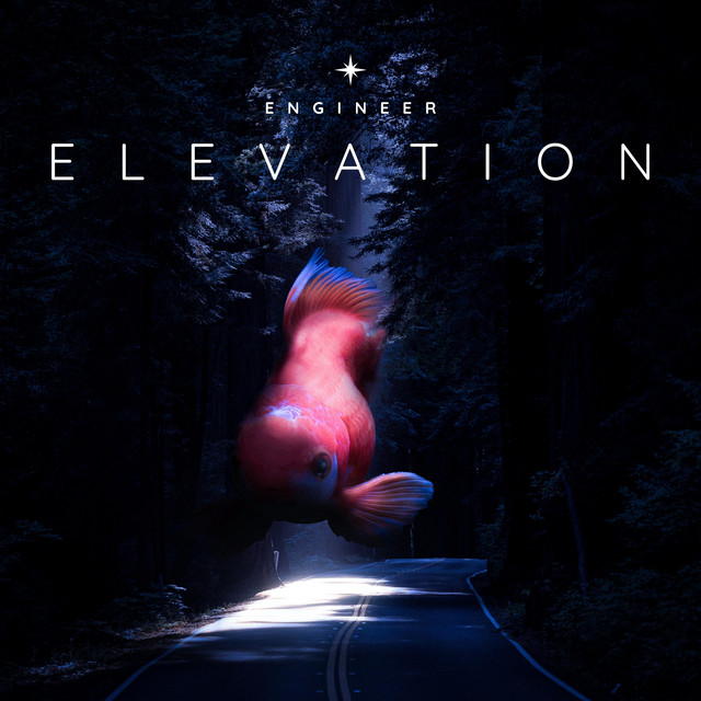 Elevation cover art