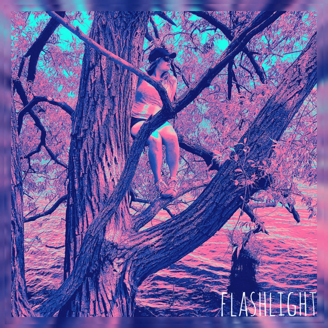 Flashlight cover art