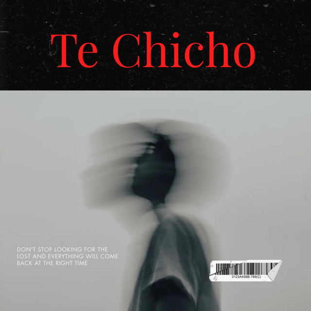 Album cover for Te Chicho by NBoy