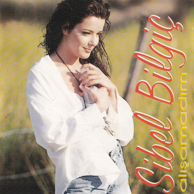 Alışamadım cover art
