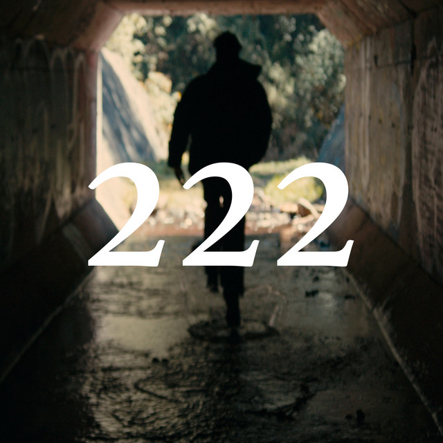 222 cover art