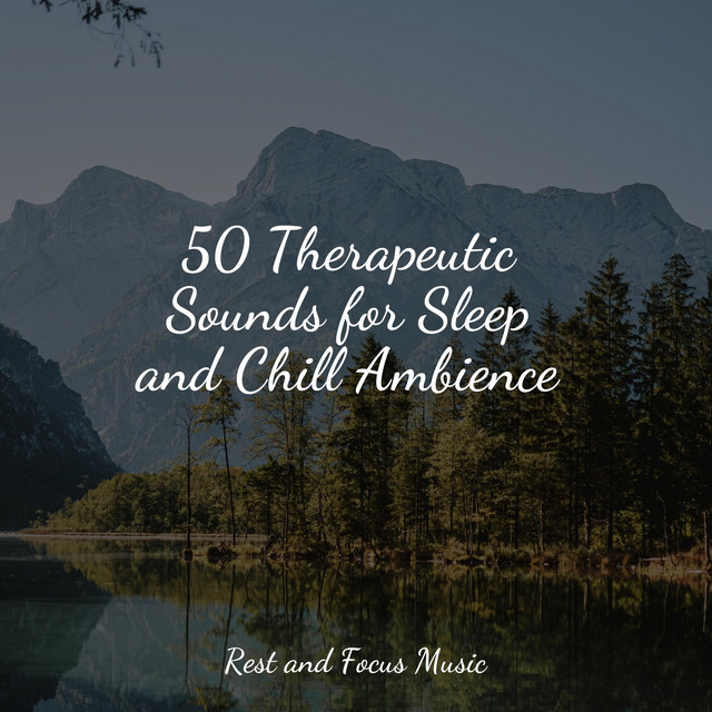 50 Therapeutic Sounds for Sleep and Chill Ambience - Album by Chakra ...