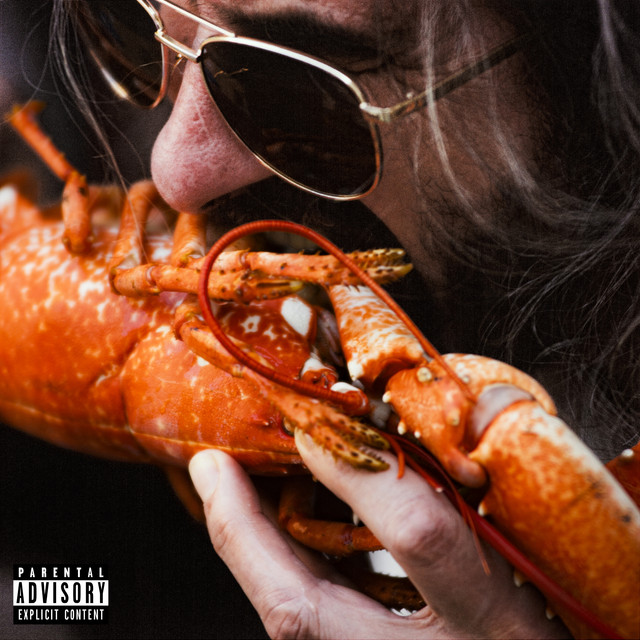 C DONC ÇA LA VIE cover