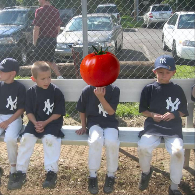 Tomato Eight cover art