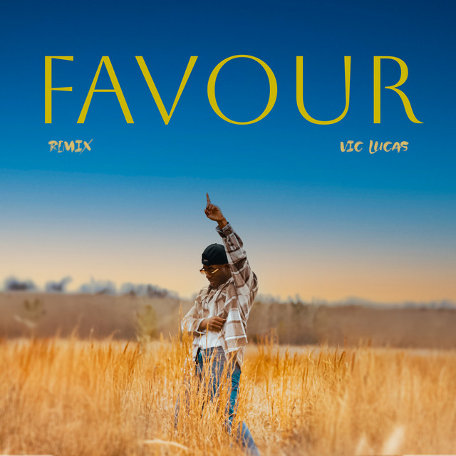Favour (Remix) cover art