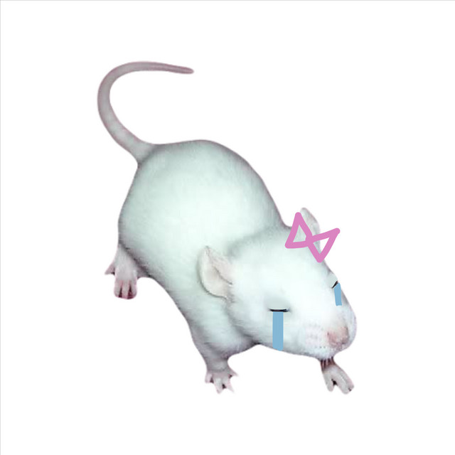 x_x cover art