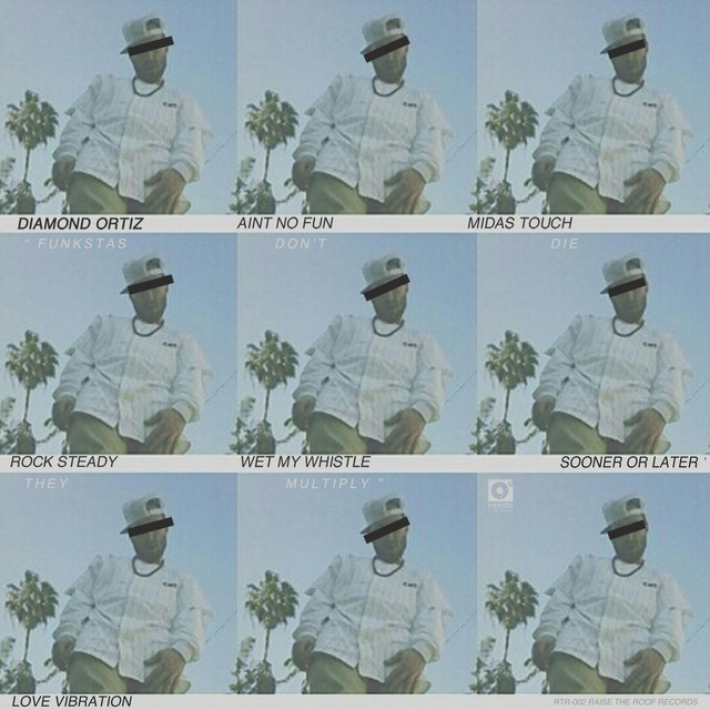 Funkstas Don't Die They Multiply cover art