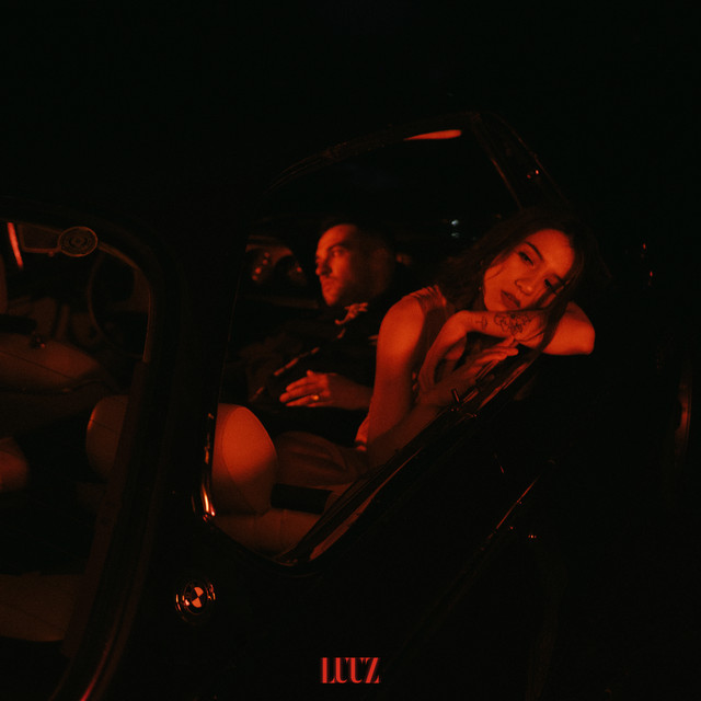 LUUZ cover art