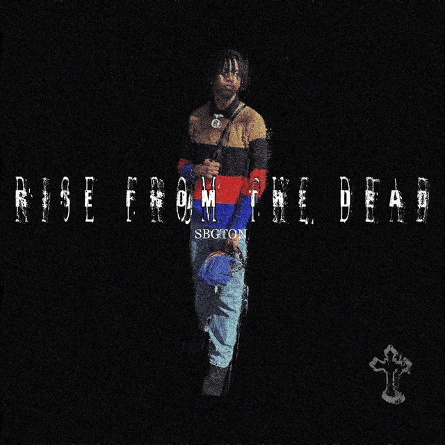 Rise from the dead cover art