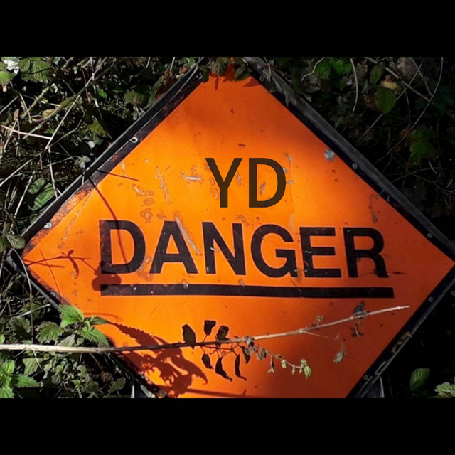 Danger cover art