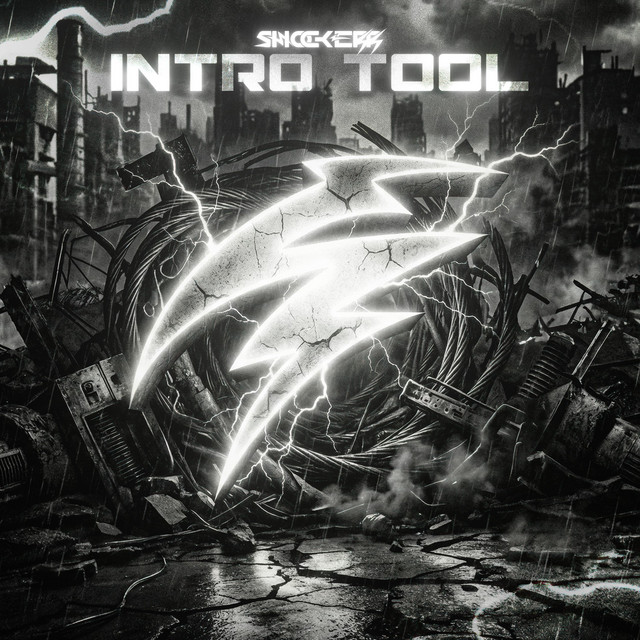INTRO TOOL cover art