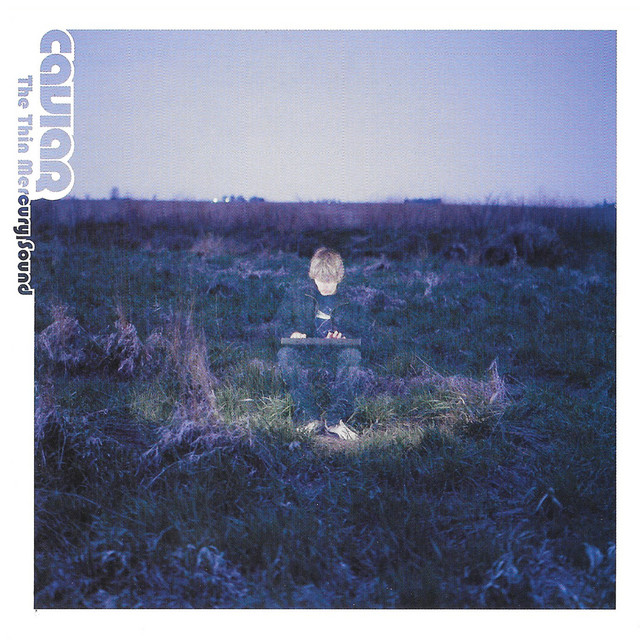 The Thin Mercury Sound cover art
