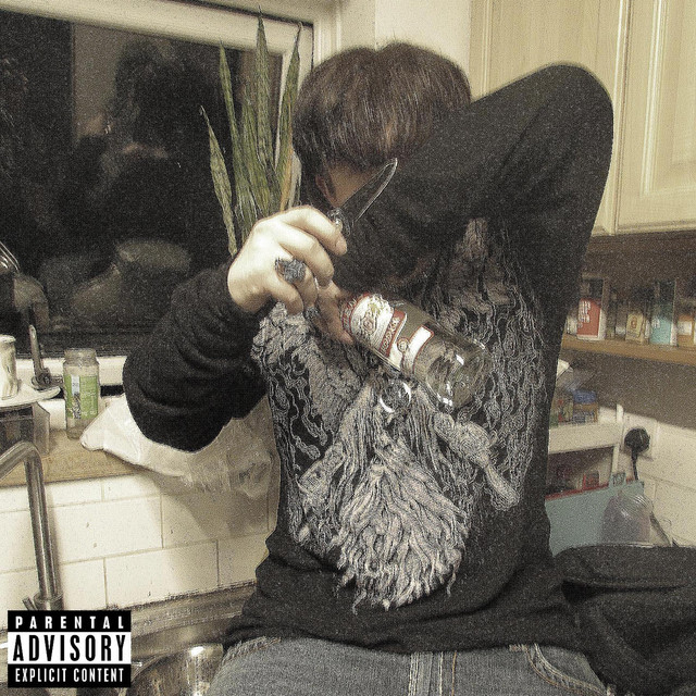 idc about genres or aesthetics cover art