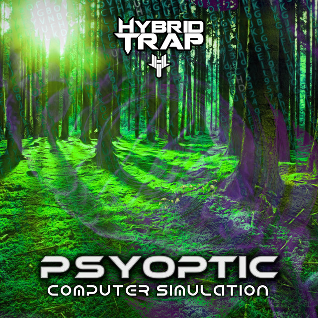 Computer Simulation cover art