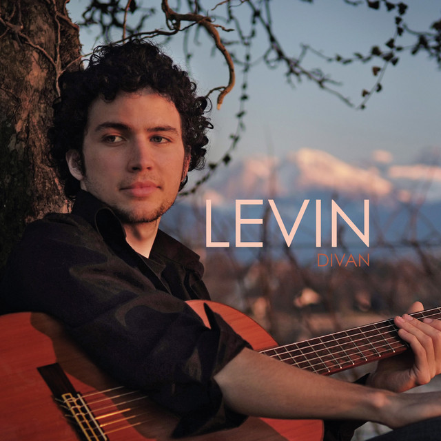 Album artwork for Intro Vico Equense by Levin
