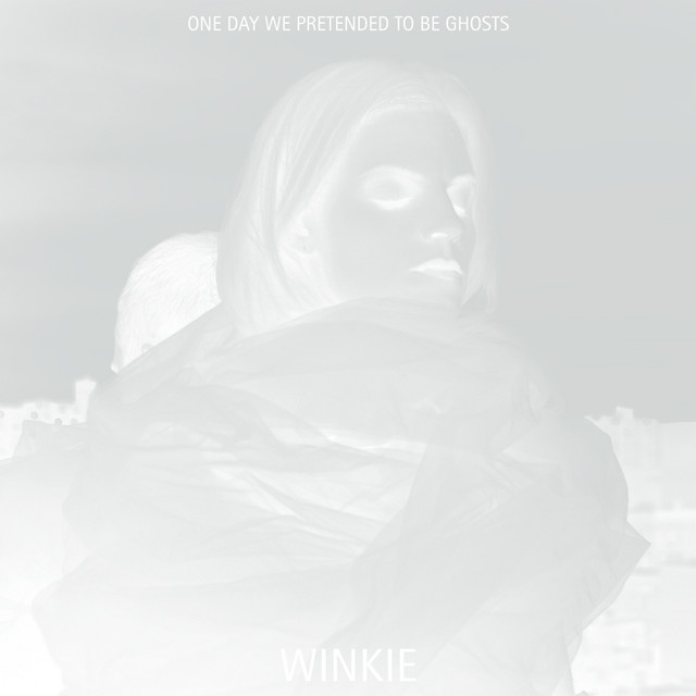 One Day We Pretended to Be Ghosts cover