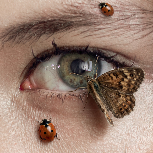 Maj cover art