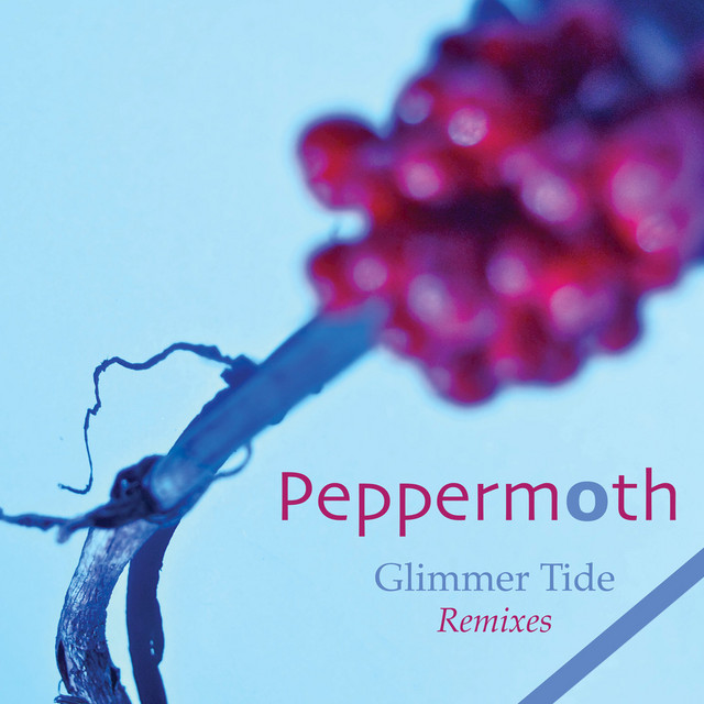 Glimmer Tide Remixes cover art