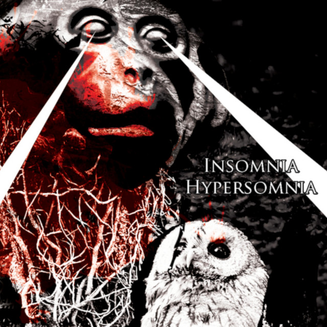 Insomnia/Hypersomnia cover art